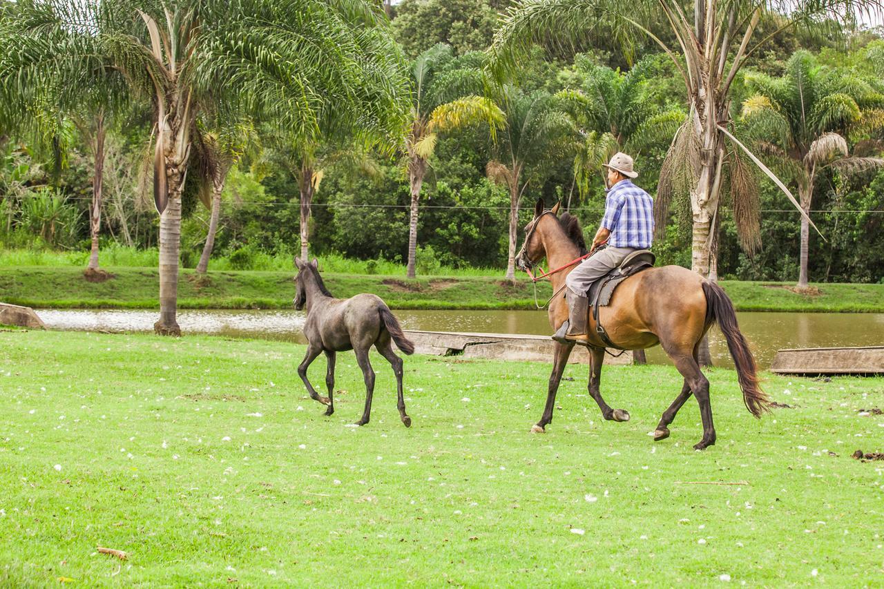 Hotel Fazenda Igarapes Luaran gambar